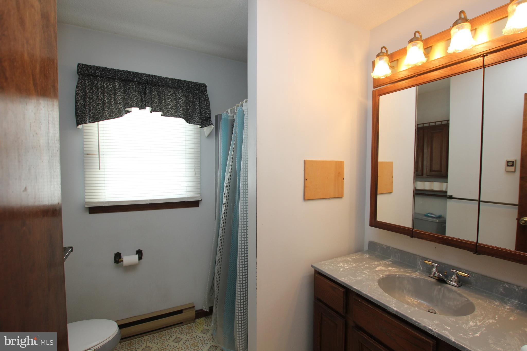 11429 Taylor Mill Road Laurel, DE 19956 - Photo 13 of 20 Master Bathroom w/stall shower
