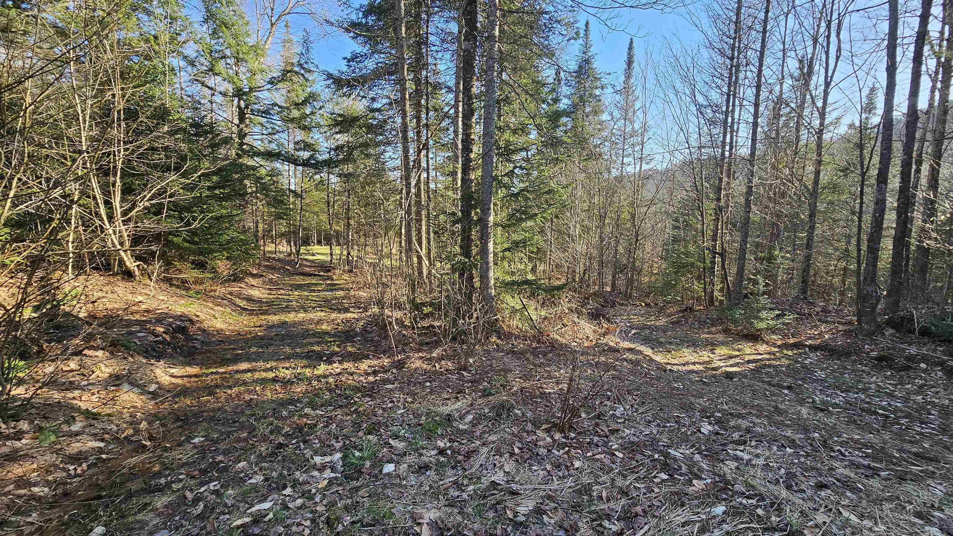 512 Woodbury Mountain Road Calais, VT 05648 - Photo 44 of 59