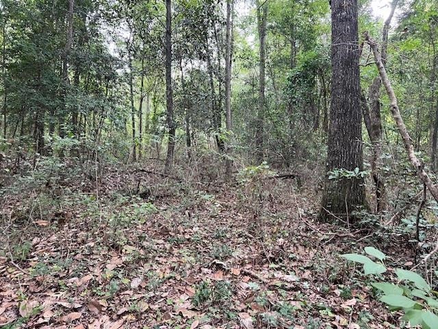 27-ac Babbie Road Andalusia, AL 36421 - Photo 25 of 35 Gallery Image 25