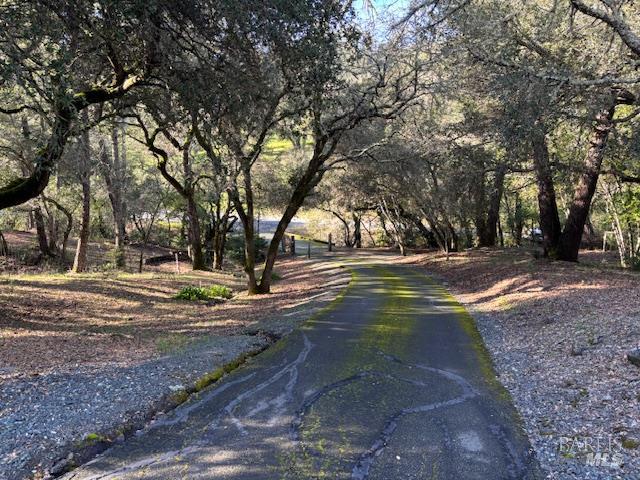 3680 Calistoga Road Santa Rosa, CA 95404 - Photo 29 of 32 a view of dirt yard with a large tree