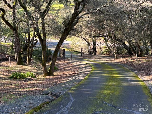 3680 Calistoga Road Santa Rosa, CA 95404 - Photo 31 of 32 a view of a yard in a yard