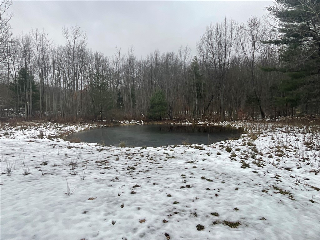 7788 Searles Road Belfast, NY 14739 - Photo 15 of 21