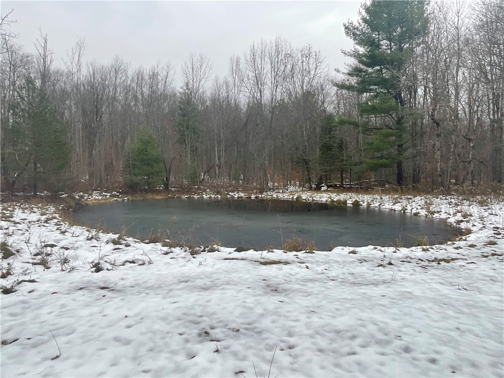 7788 Searles Road Belfast, NY 14739 - Photo 16 of 21