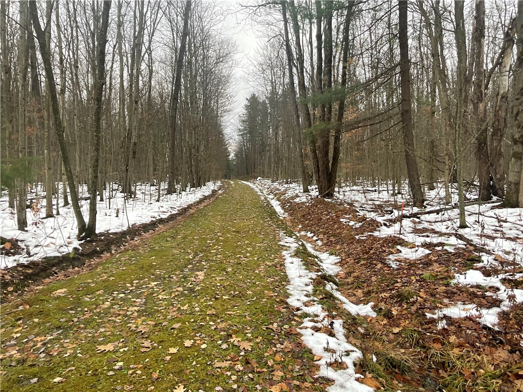 7788 Searles Road Belfast, NY 14739 - Photo 18 of 21