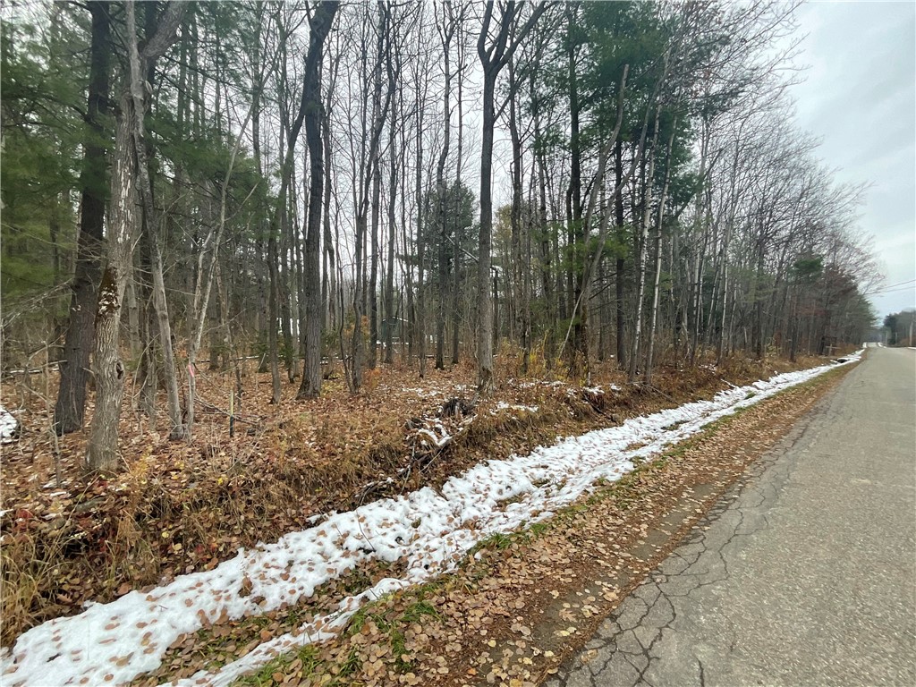 7788 Searles Road Belfast, NY 14739 - Photo 20 of 21 Road Frontage View