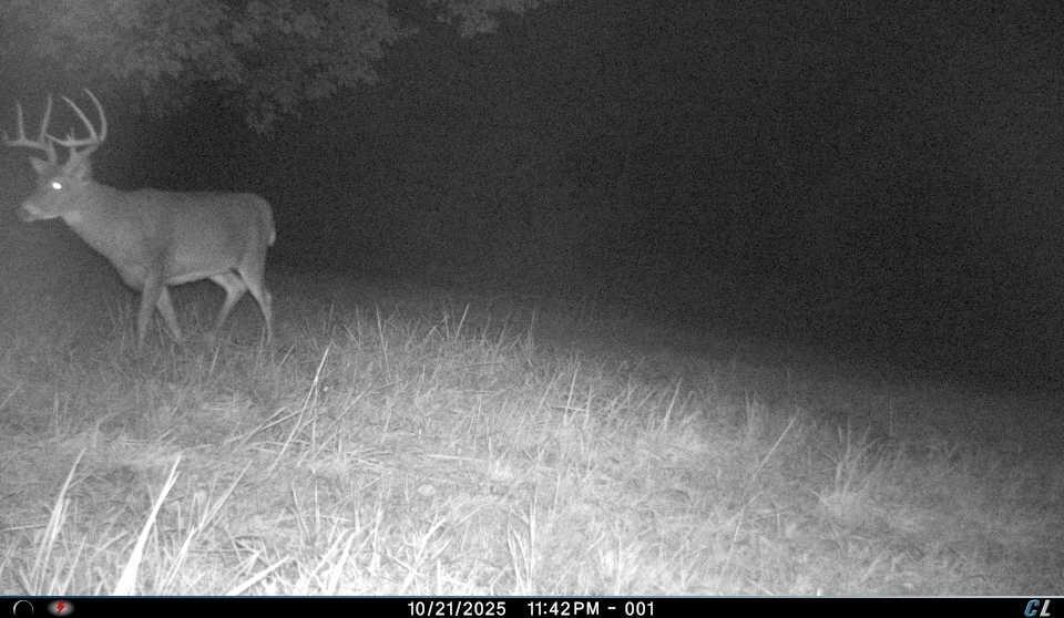 5055 Early Ridge Road McConnelsville, OH 43756 - Photo 39 of 45 trailcam_7.jpeg_jwt__1783505694667_72e2a