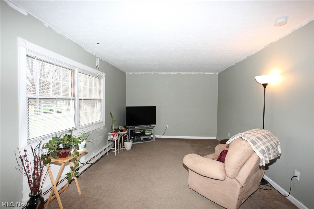 4115 Beat Road Litchfield, OH 44253 - Photo 12 of 35 Gallery Image 12