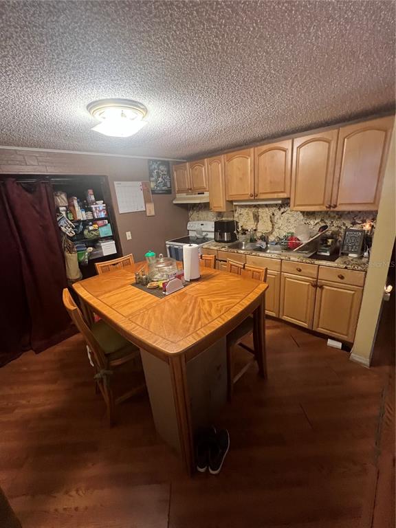 6006 Vel Street Wimauma, FL 33598 - Photo 5 of 17 a view of a dining room with furniture and wooden floor