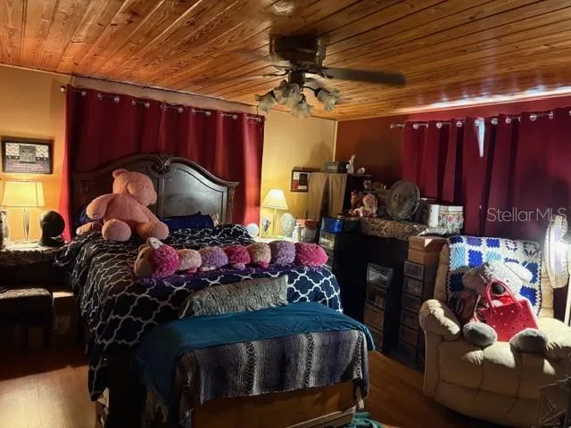 a room with furniture and a potted plant