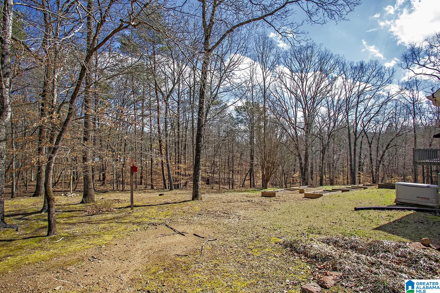 6911 Deer Haven Road Pinson, AL 35126 - Photo 16 of 52