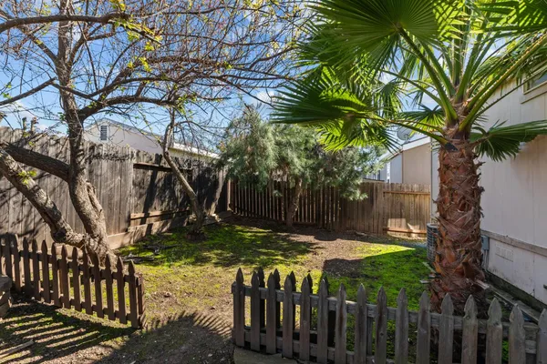 a view of a backyard with a tree