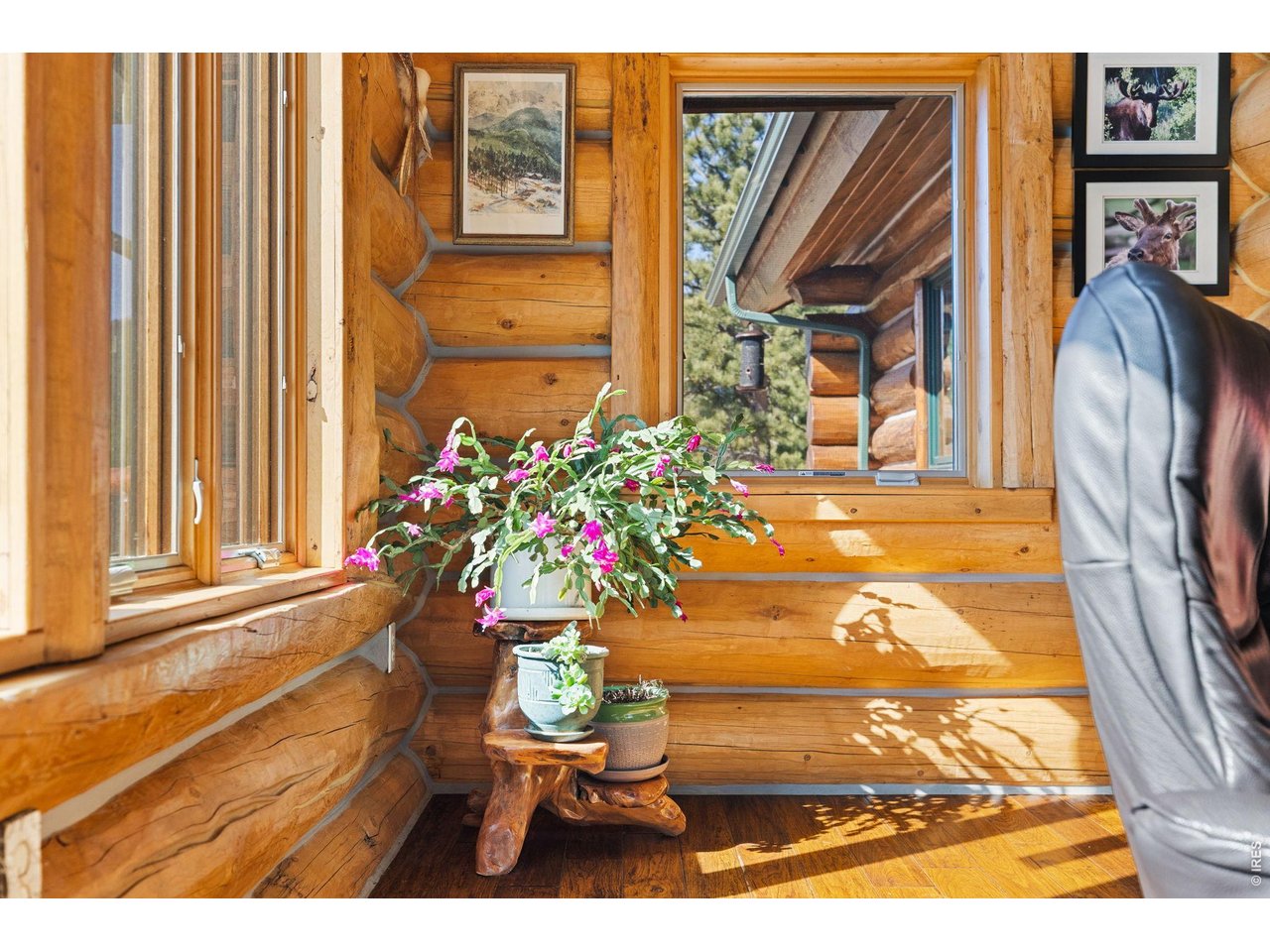 470 Big John Road Lyons, CO 80540 - Photo 15 of 44