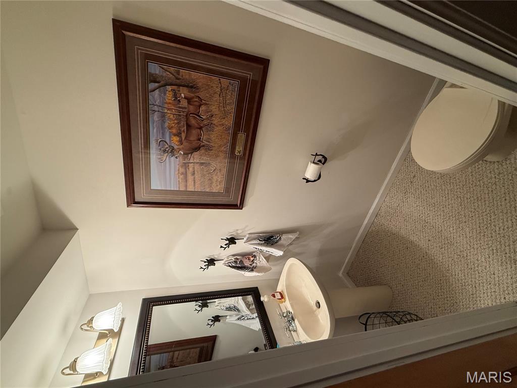 155 Stepanek Road Troy, MO 63379 - Photo 34 of 57