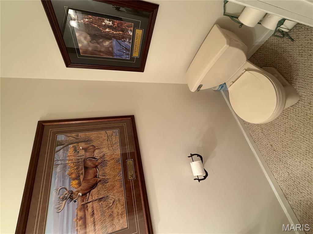 155 Stepanek Road Troy, MO 63379 - Photo 35 of 57