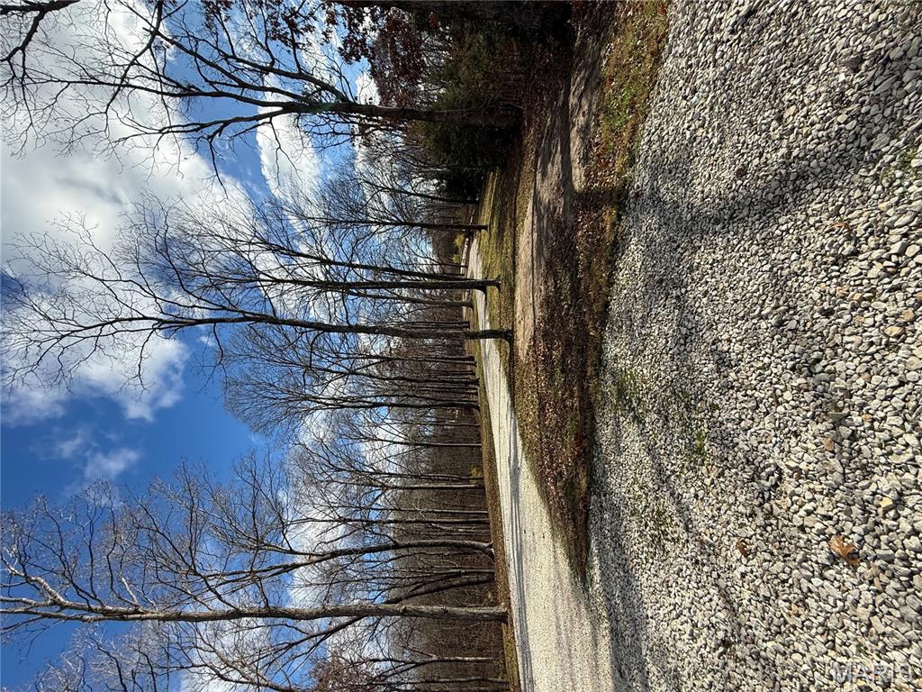 155 Stepanek Road Troy, MO 63379 - Photo 53 of 57