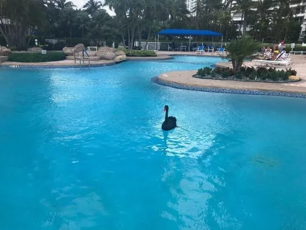 a swimming pool with outdoor seating and yard
