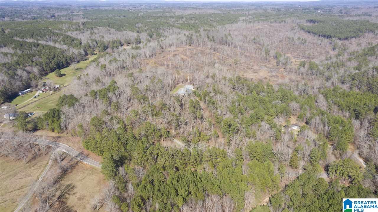 8737 Brasher Road Pinson, AL 35126 - Photo 47 of 50
