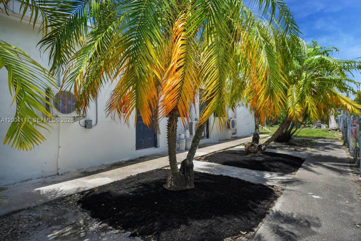 11775 Southwest 223rd Street Miami, FL 33170 - Photo 12 of 42 a view of outdoor space with trees