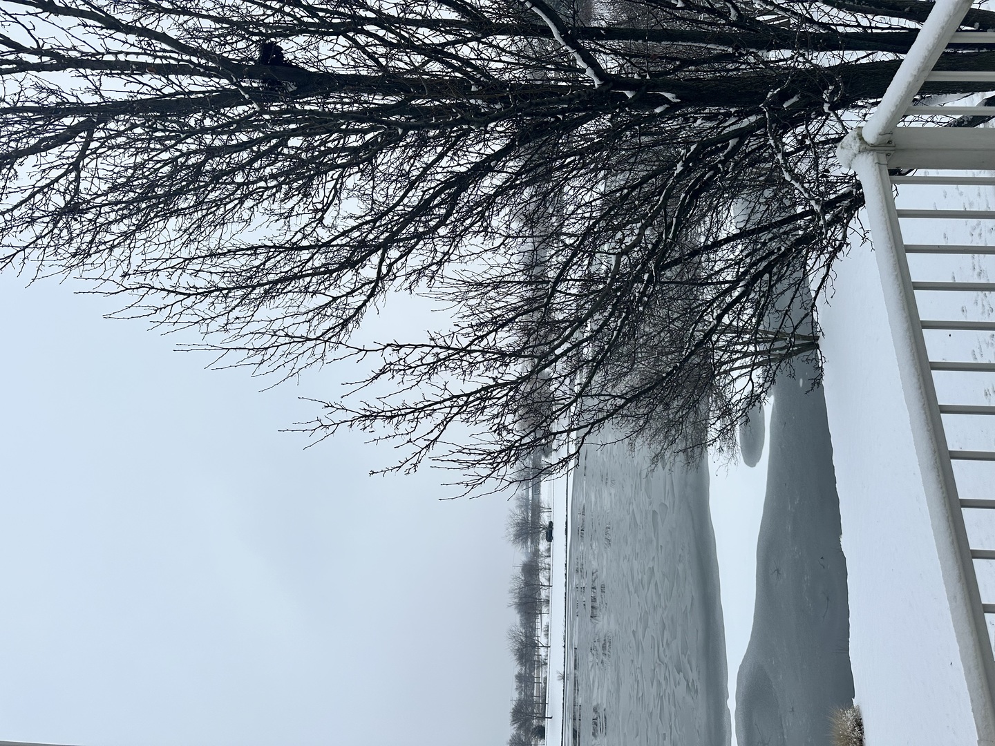 102 Town Center Boulevard Gilberts, IL 60136 - Photo 29 of 37