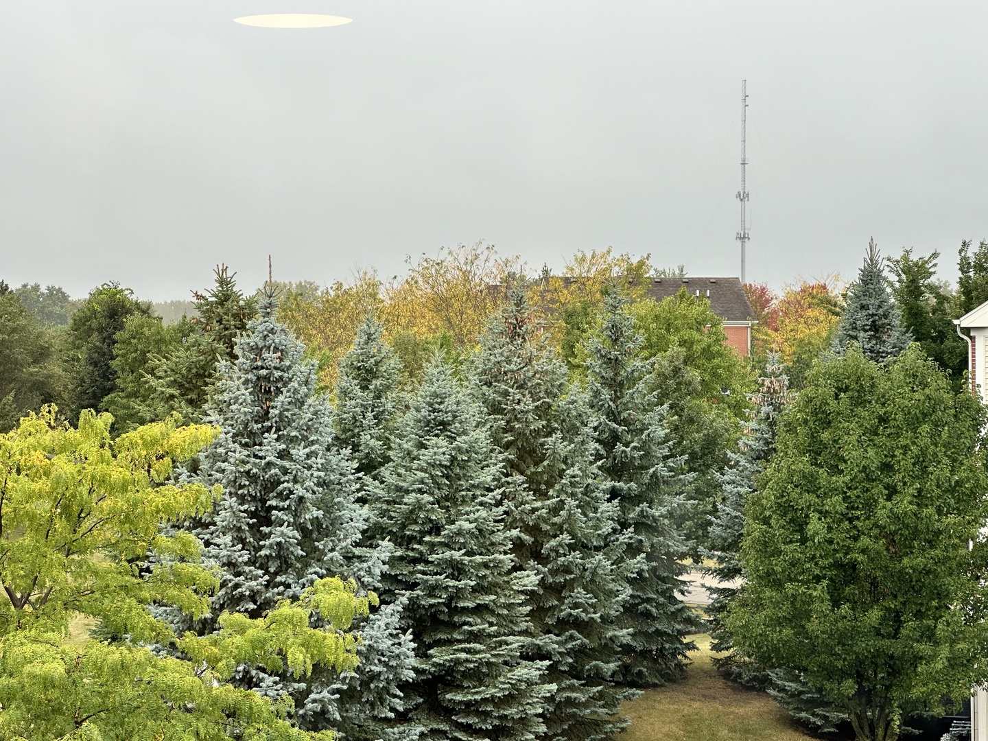102 Town Center Boulevard Gilberts, IL 60136 - Photo 35 of 37