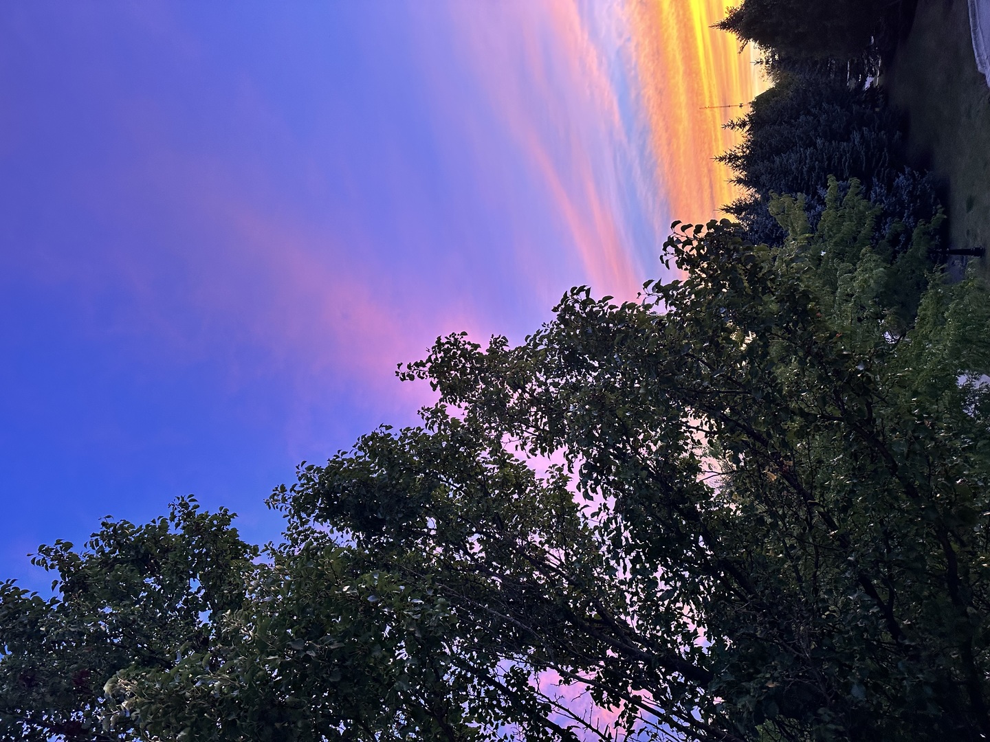 102 Town Center Boulevard Gilberts, IL 60136 - Photo 36 of 37