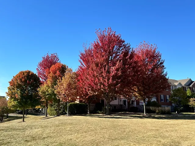 $345,000 | 102 Town Center Boulevard, Gilberts, IL 60136