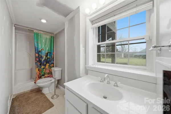 a bathroom with a sink a toilet and a shower