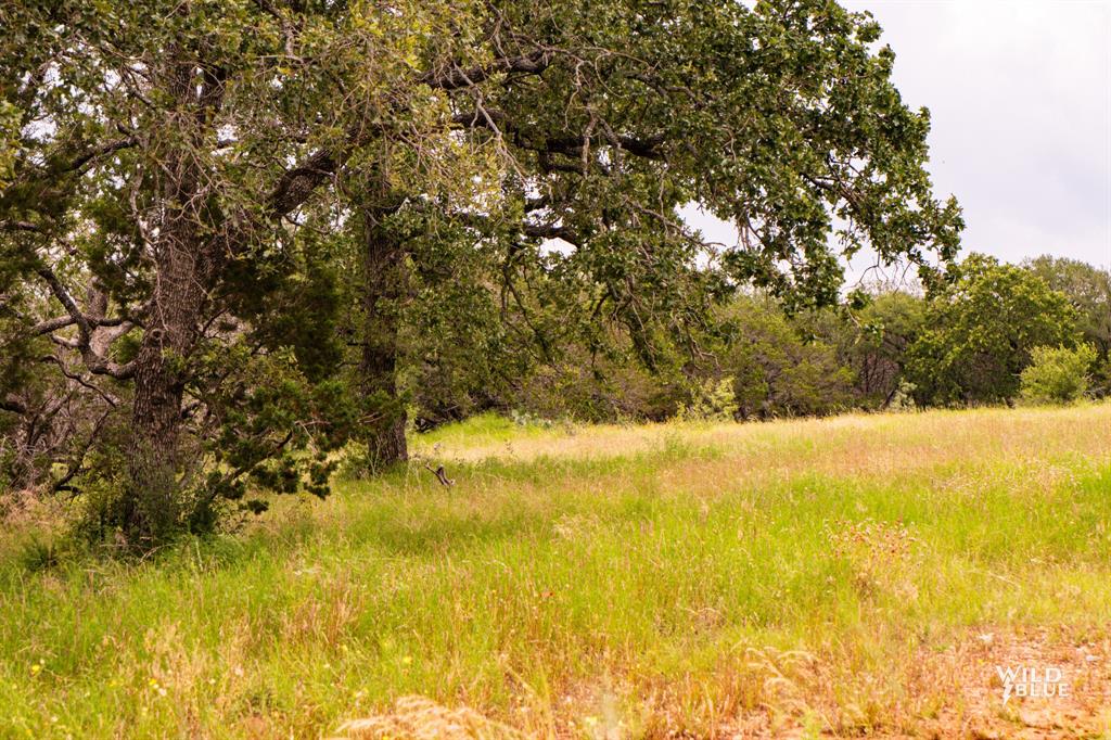 2170 River Shls Road Mineral Wells, TX 76067 - Photo 30 of 40 a view of a yard with a tree