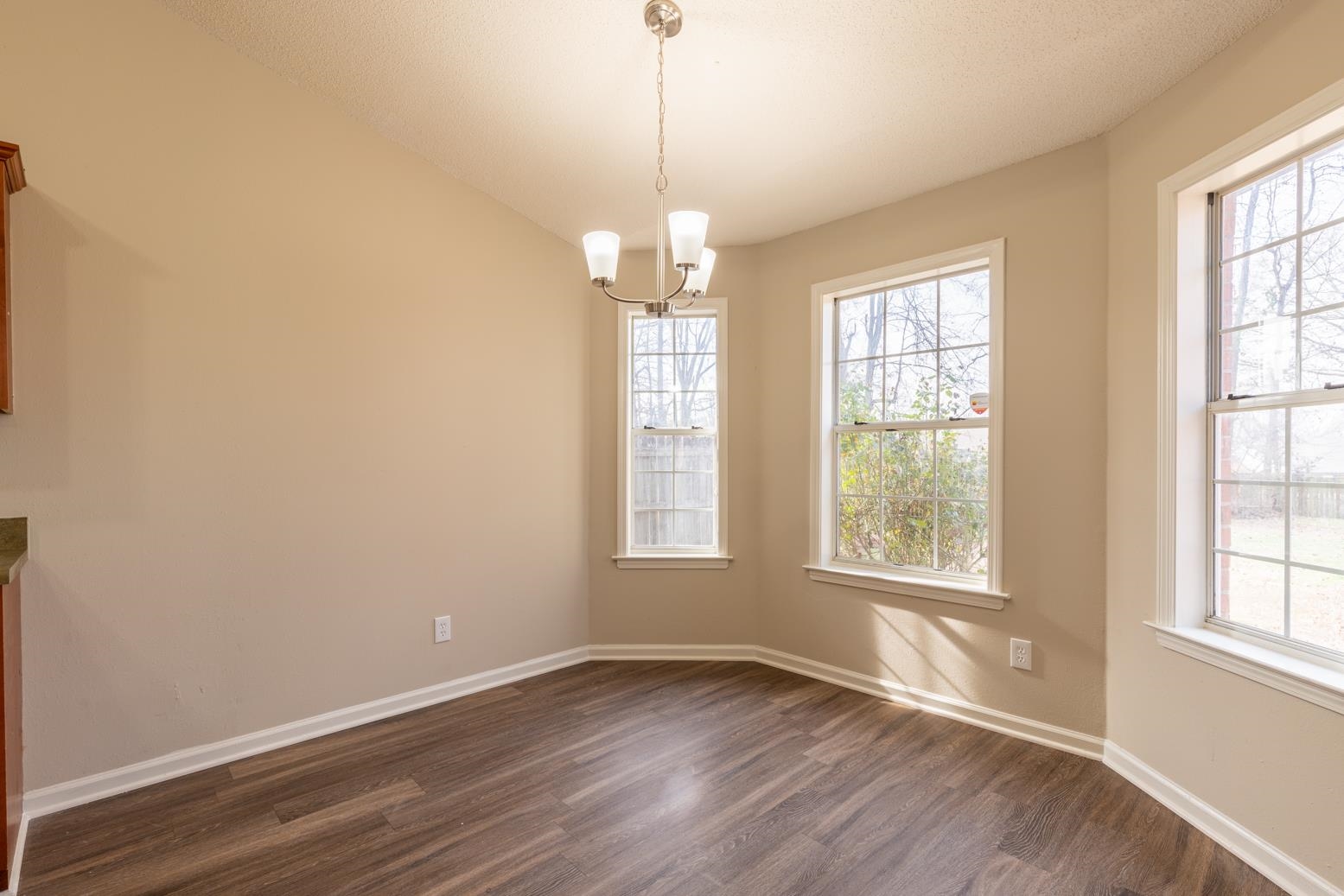 4185 Hampton Manor Lane Memphis, TN 38128 - Photo 11 of 20 an empty room with wooden floor and windows