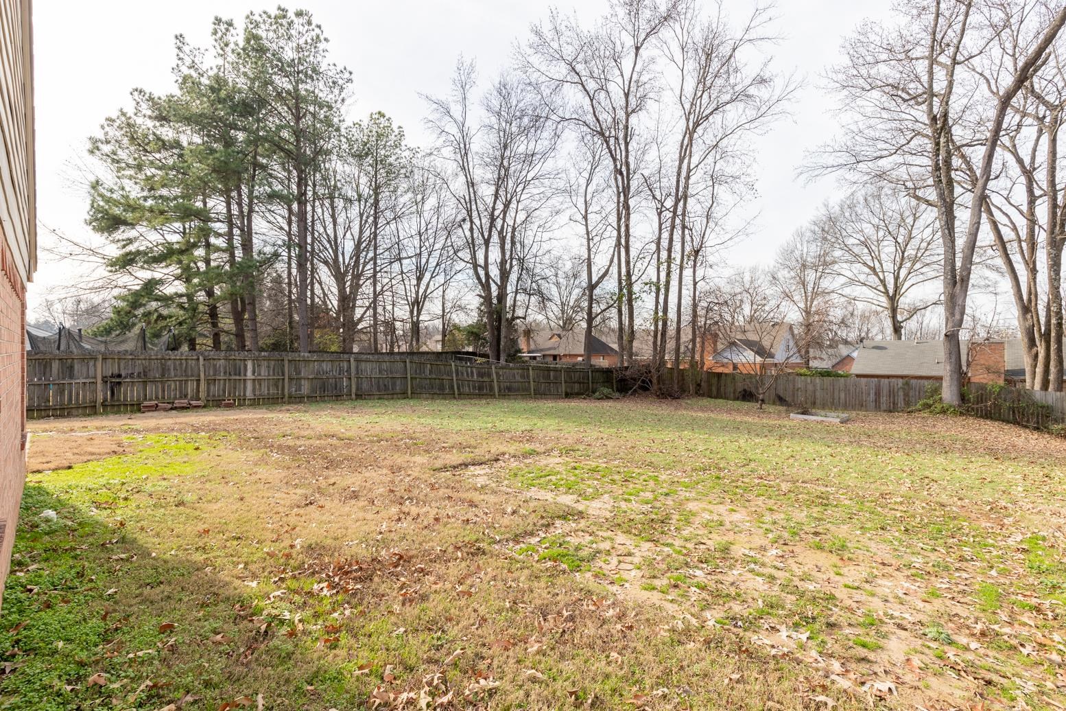 4185 Hampton Manor Lane Memphis, TN 38128 - Photo 5 of 20 a view of a yard with a trees