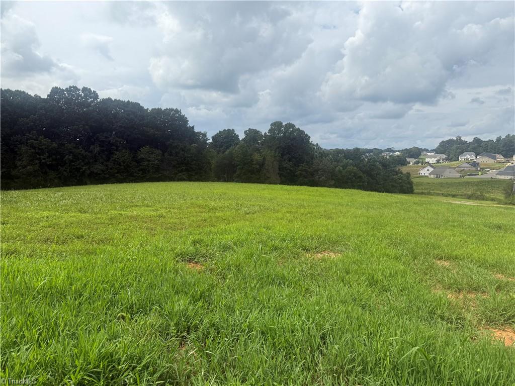 0 Chancerwood Drive Rural Hall, NC 27045 - Photo 9 of 11