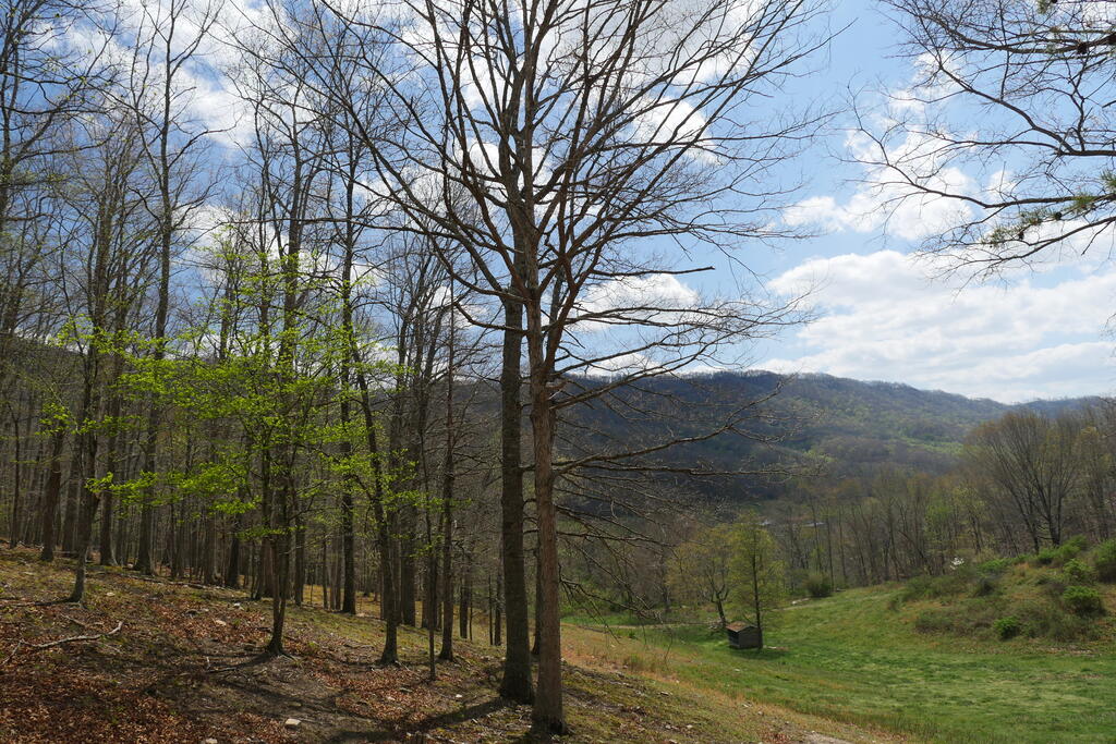 4020 Freestone Valley Road Tannersville, VA 24377 - Photo 107 of 109 Gallery Image 107