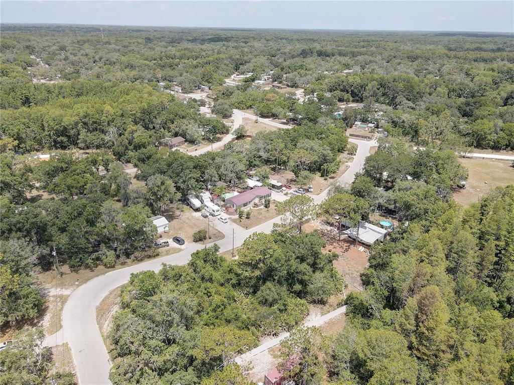 9501 Estelle Street New Port Richey, FL 34654 - Photo 51 of 59