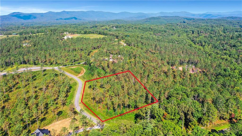 13 Poetic Court Ellijay, GA 30540 - Photo 5 of 10 a view of a lush green forest with a mountain