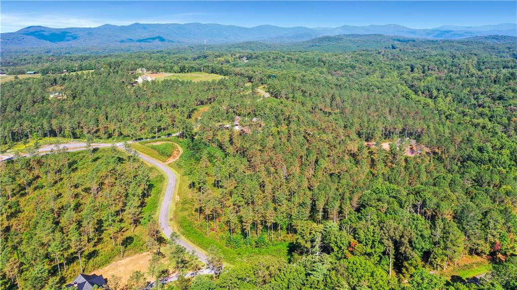13 Poetic Court Ellijay, GA 30540 - Photo 9 of 10 a view of a city with lush green forest