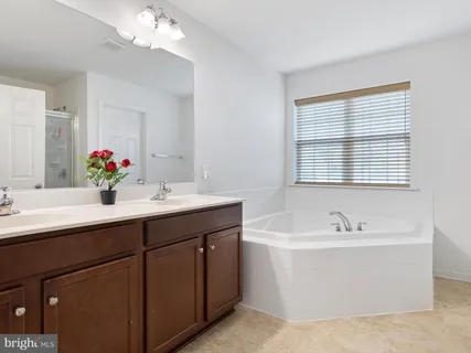 a bathroom with a bathtub a sink and a mirror