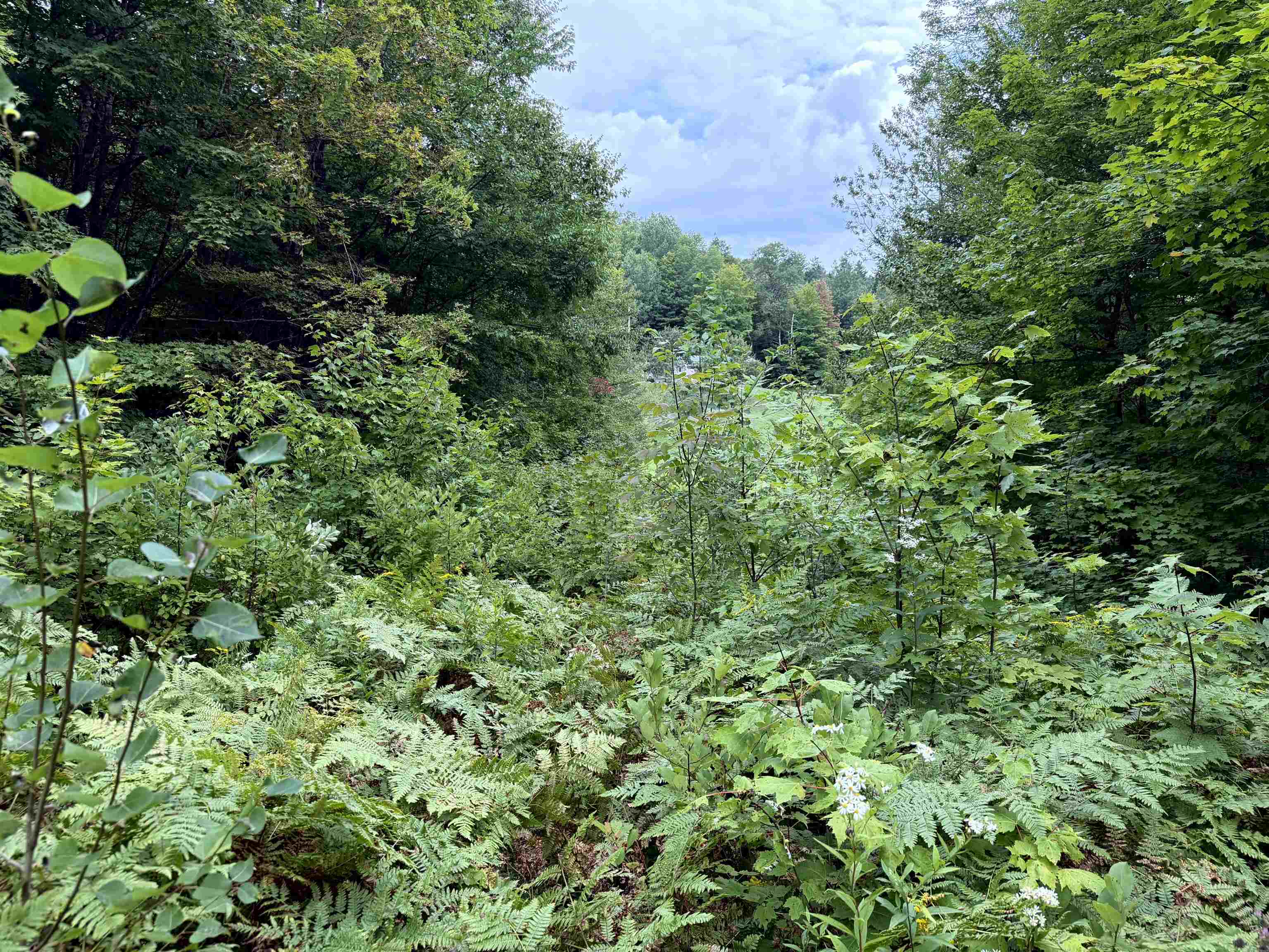 4716 Highway 5 Sutton, VT 05867 - Photo 7 of 21 Gallery Image 7