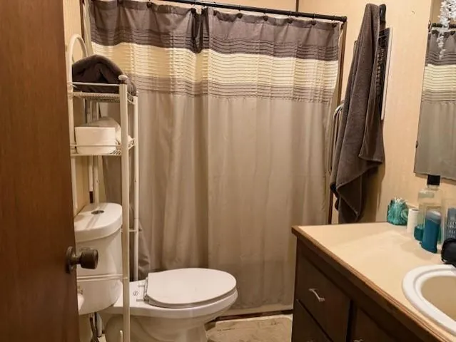 a bathroom with a sink a toilet a mirror and shower curtain