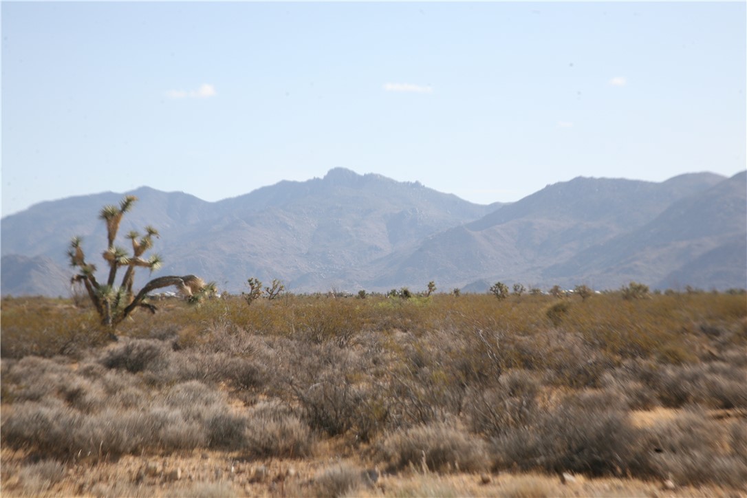 245-18-266 Alan Road Yucca, AZ 86438 - Photo 5 of 54