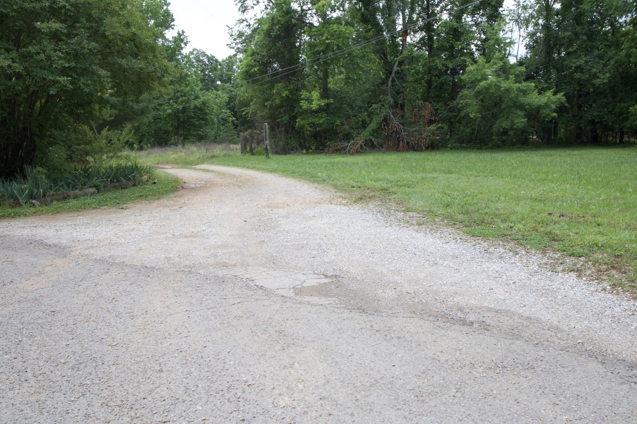 5 Poplar Ridge Lane Chapmansboro, TN 37035 - Photo 4 of 34 a view of a field with trees in the background