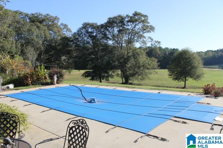 3258 Youngs Mill Road Lineville, AL 36266 - Photo 2 of 50