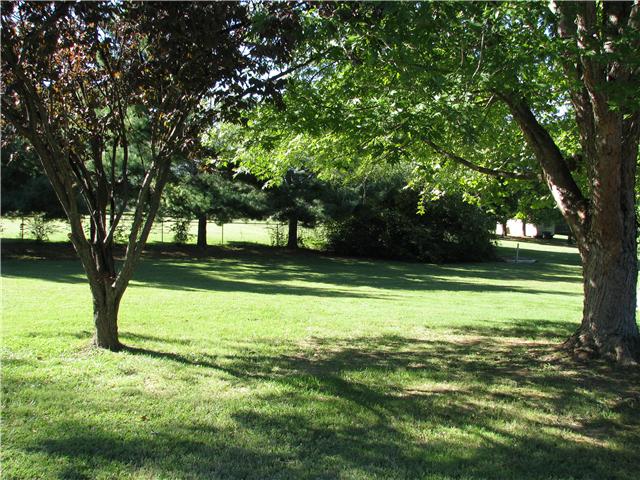 307 Mosley Drive Springfield, TN 37172 - Photo 13 of 14 Park-like back yard!