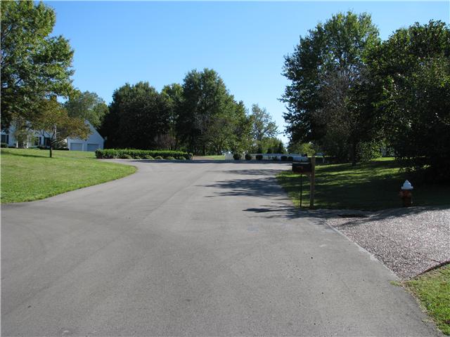 307 Mosley Drive Springfield, TN 37172 - Photo 14 of 14 This is your view up the street from the mailbox. Virtually no traffic! Fantastic neighborhood!