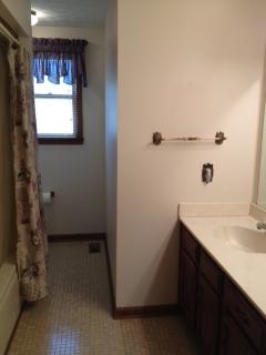 307 Mosley Drive Springfield, TN 37172 - Photo 9 of 14 View of the main bath.