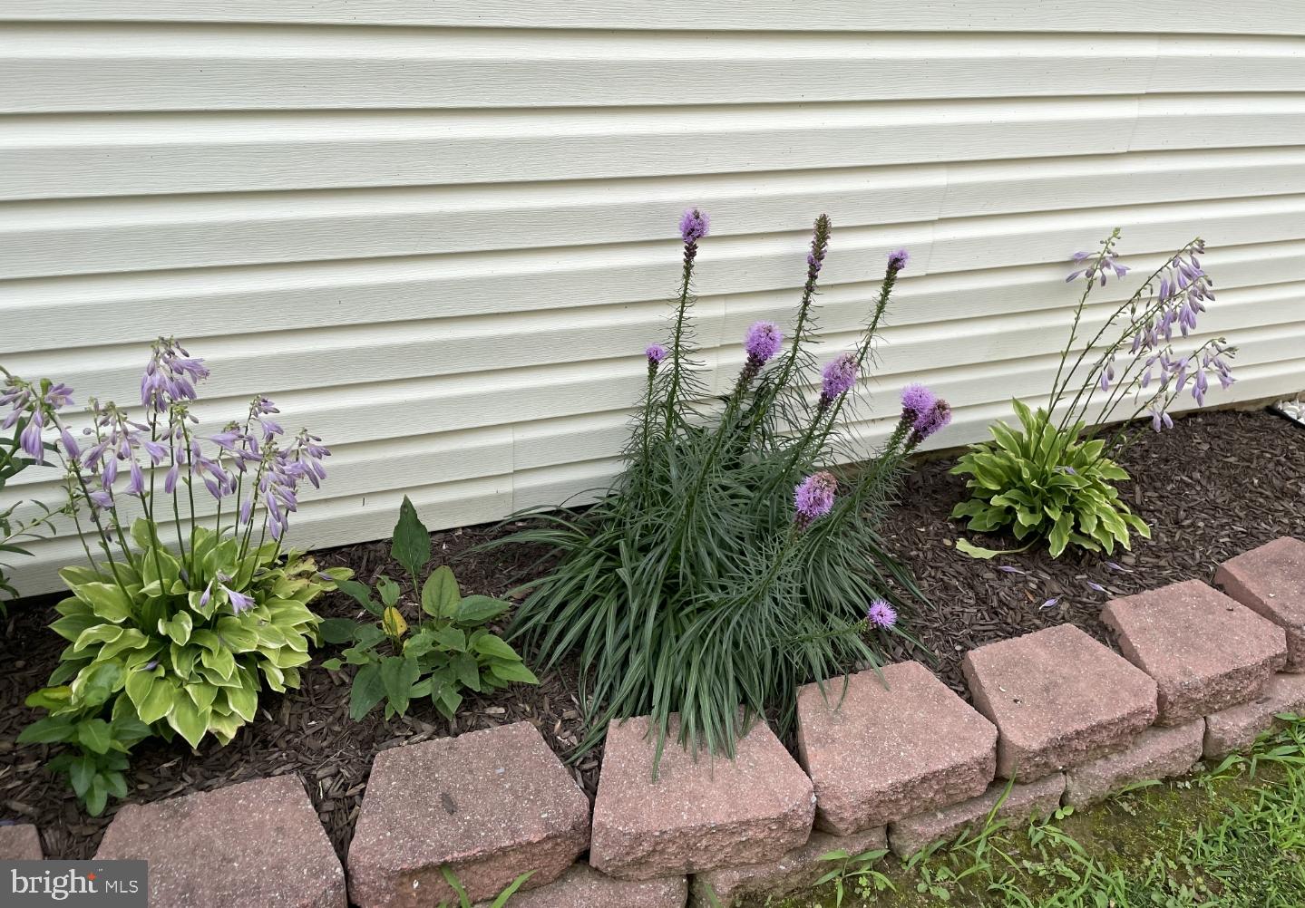 2 Kerrin Road Bear, DE 19701 - Photo 20 of 20 a vase of flowers sitting on a floor