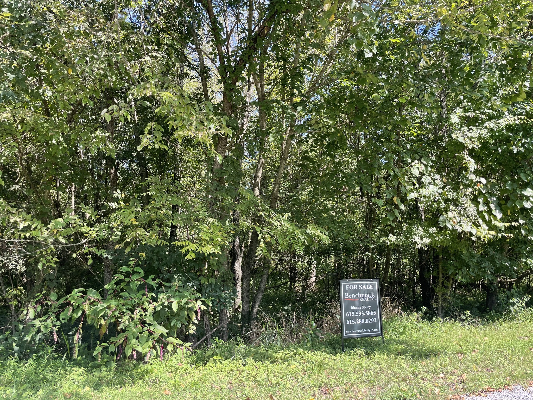0 West Road Springfield, TN 37172 - Photo 1 of 6