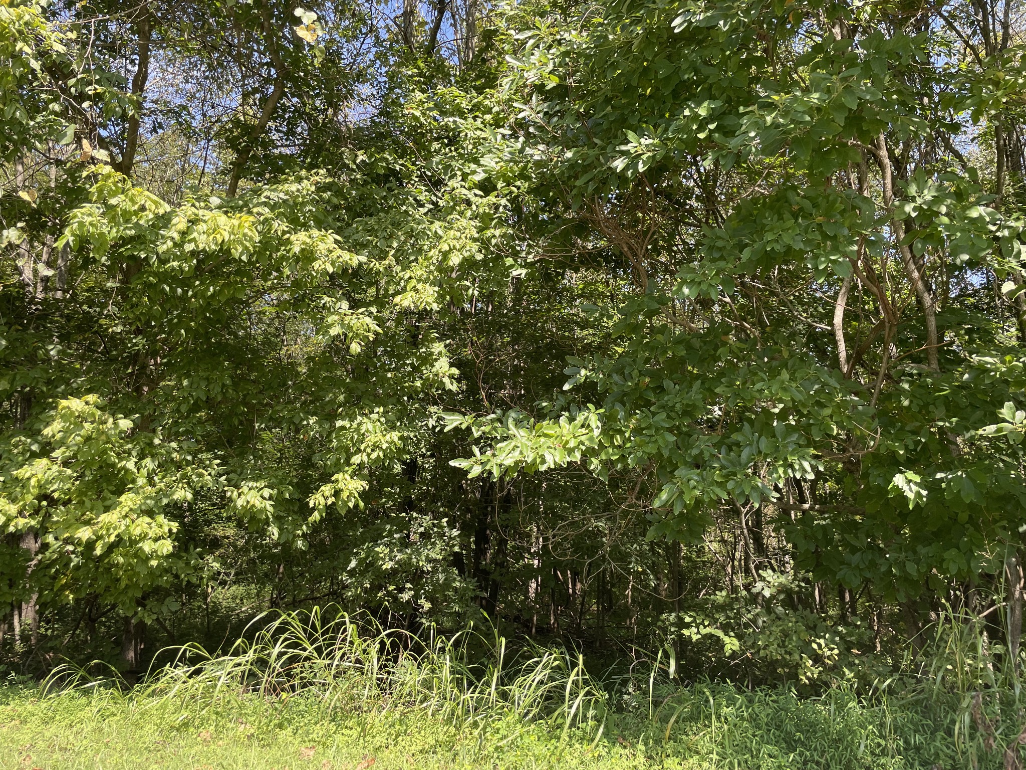 0 West Road Springfield, TN 37172 - Photo 2 of 6