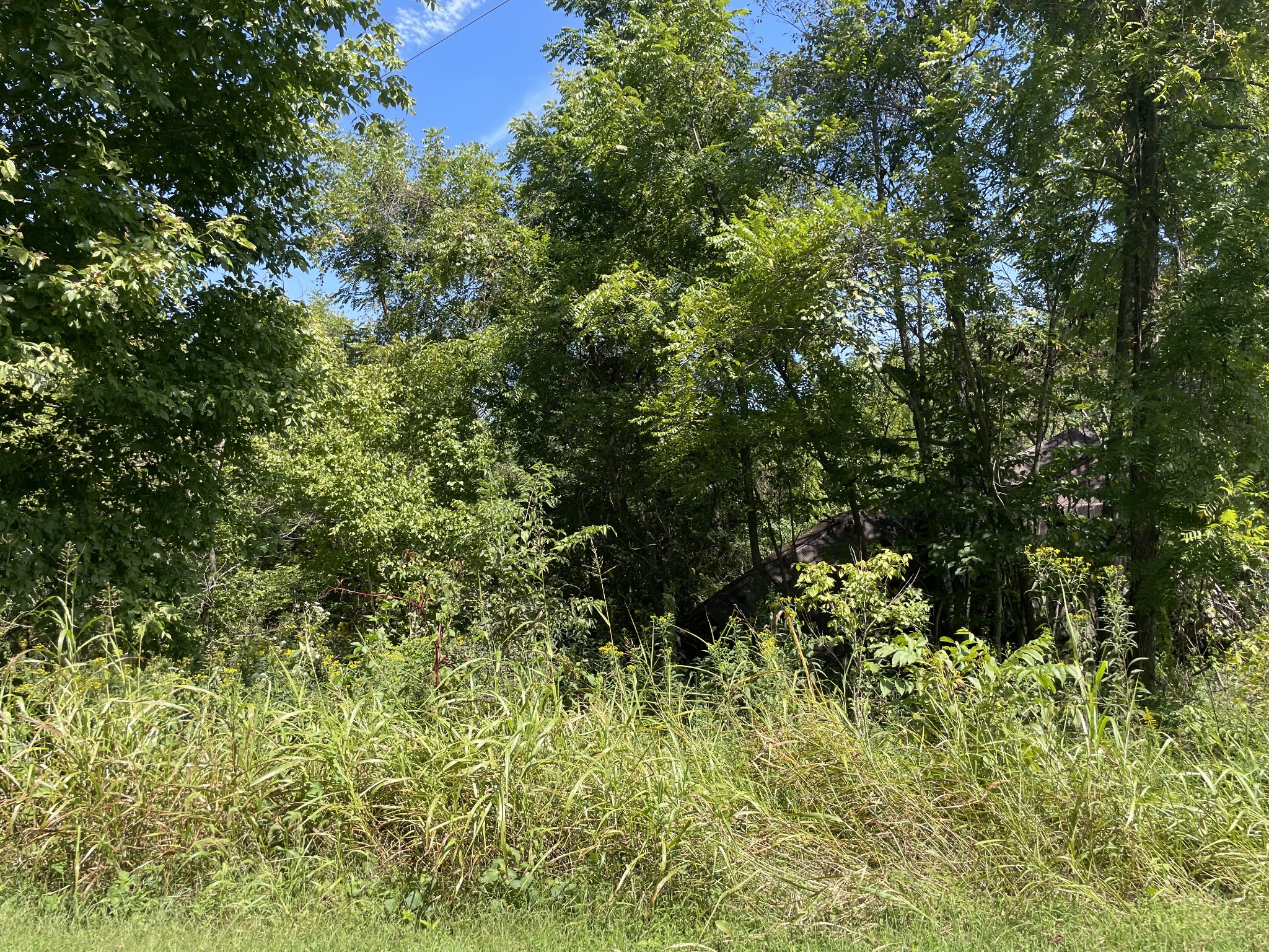 0 West Road Springfield, TN 37172 - Photo 3 of 6