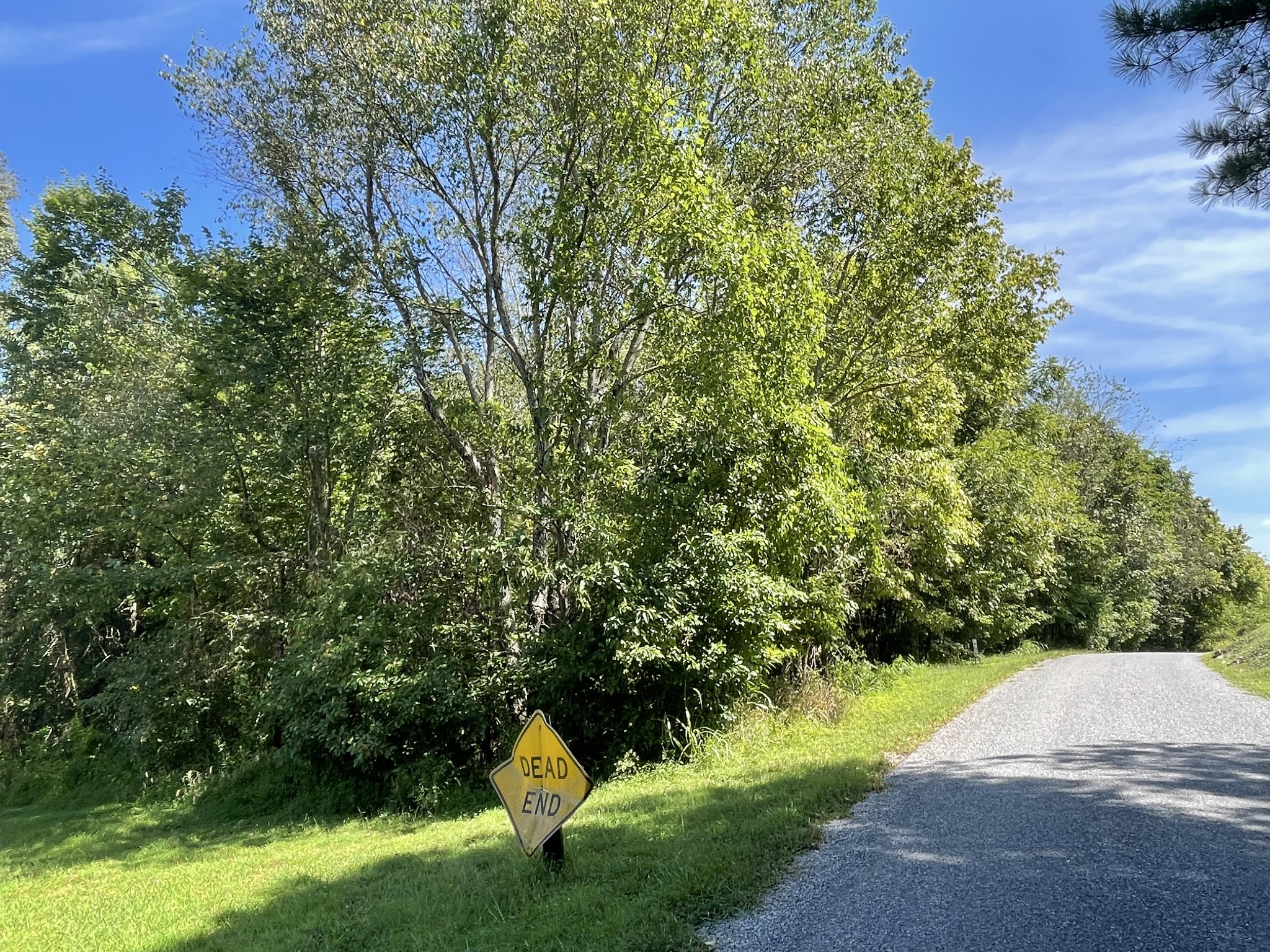 0 West Road Springfield, TN 37172 - Photo 6 of 6
