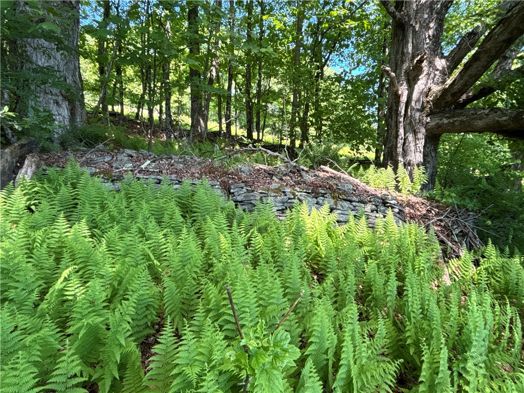 2636 Murphy Hill Road Andes, NY 13731 - Photo 28 of 33